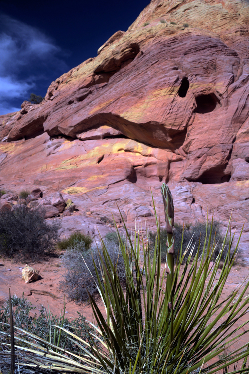 rock formation